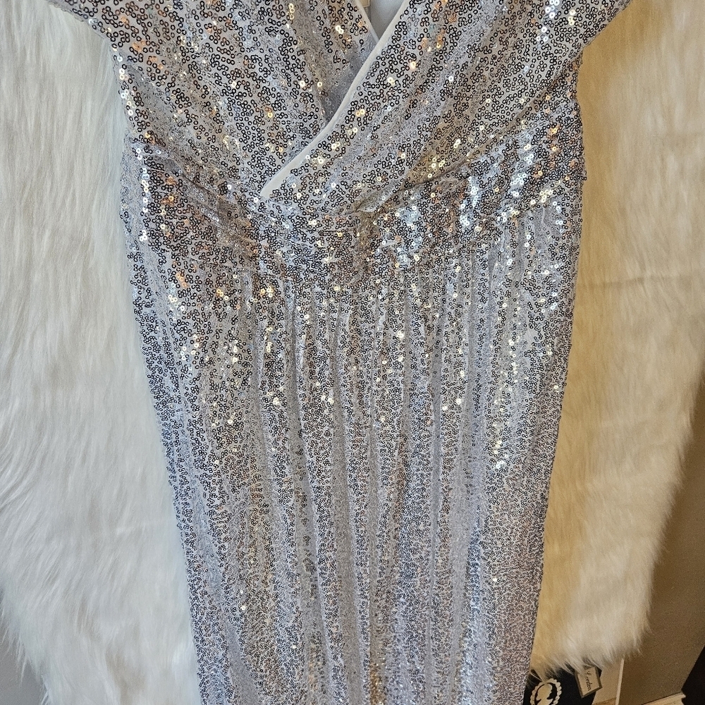 Kate Kasin Silver Empire Sequin Maxi Dress - Picture 3 of 15